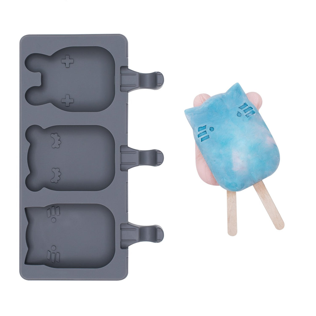 Ice Pop Mold - Charcoal